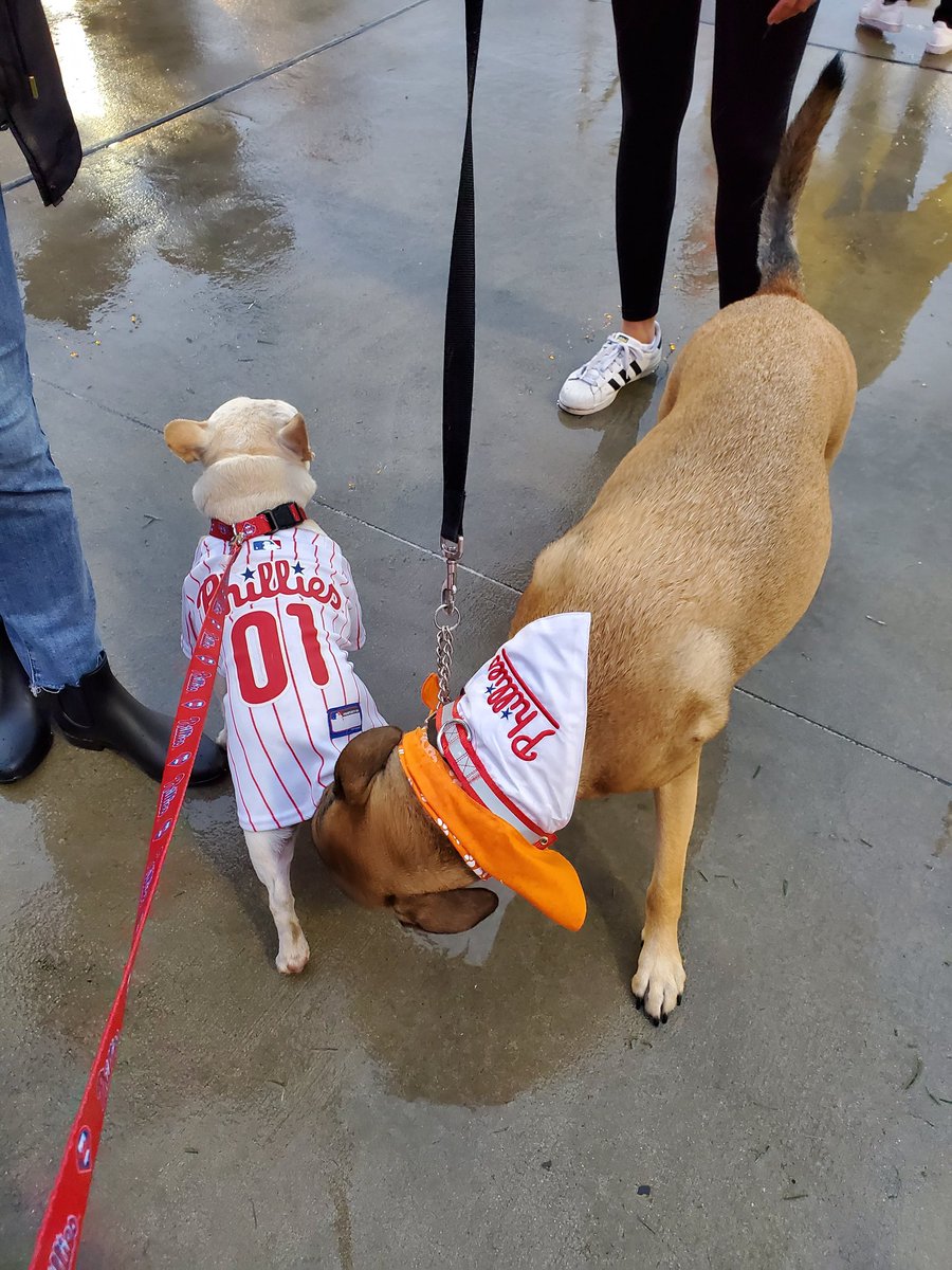 foredeckunion's tweet photo. #Phillies fans meeting at #BarkInThePark https://t.co/huAjLW6WLD