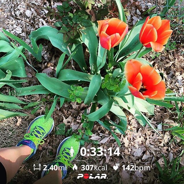 RunningRachel's tweet photo. After work quick solo run/walk. Two days in a row!! What!? Slowly getting my desire and groove back. Yay!

Lots of walking... but celebrating the success! (I got out there and laced up my shoes. I ran more today than yesterday. I am looking forward to ru… https://t.co/A37TcuSnUr https://t.co/RPiiLoawbV
