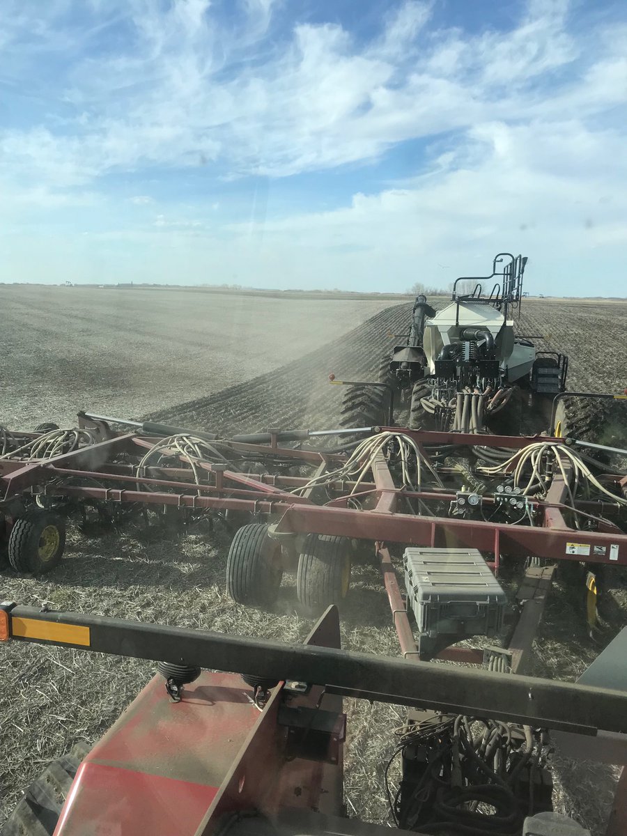 Let’s try this seeding thing again #plant19