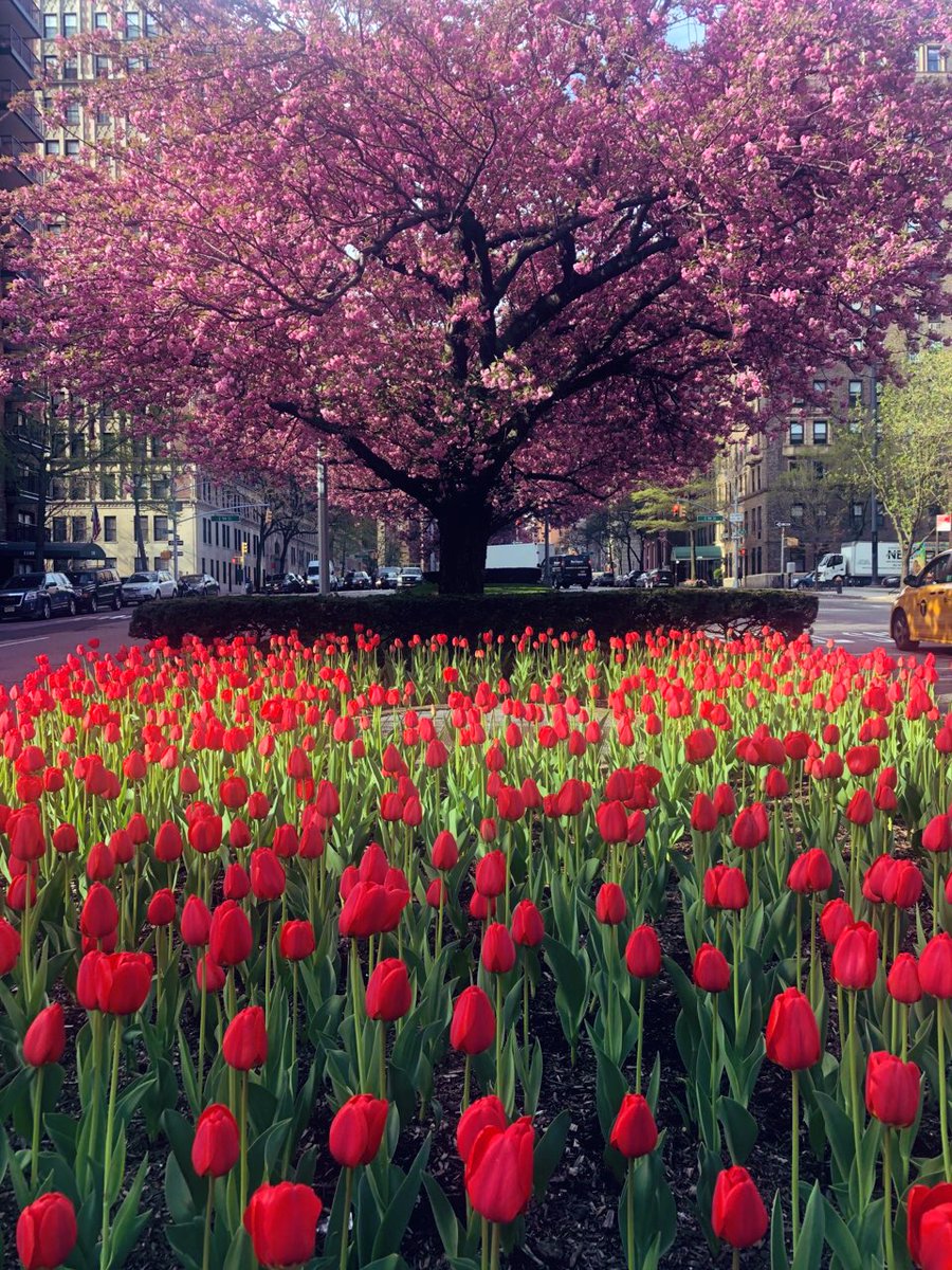 I think we are all able to build a world we want to live in. It takes compromise and dedication, but it is absolutely attainable once we stop making excuses! #EarthDay