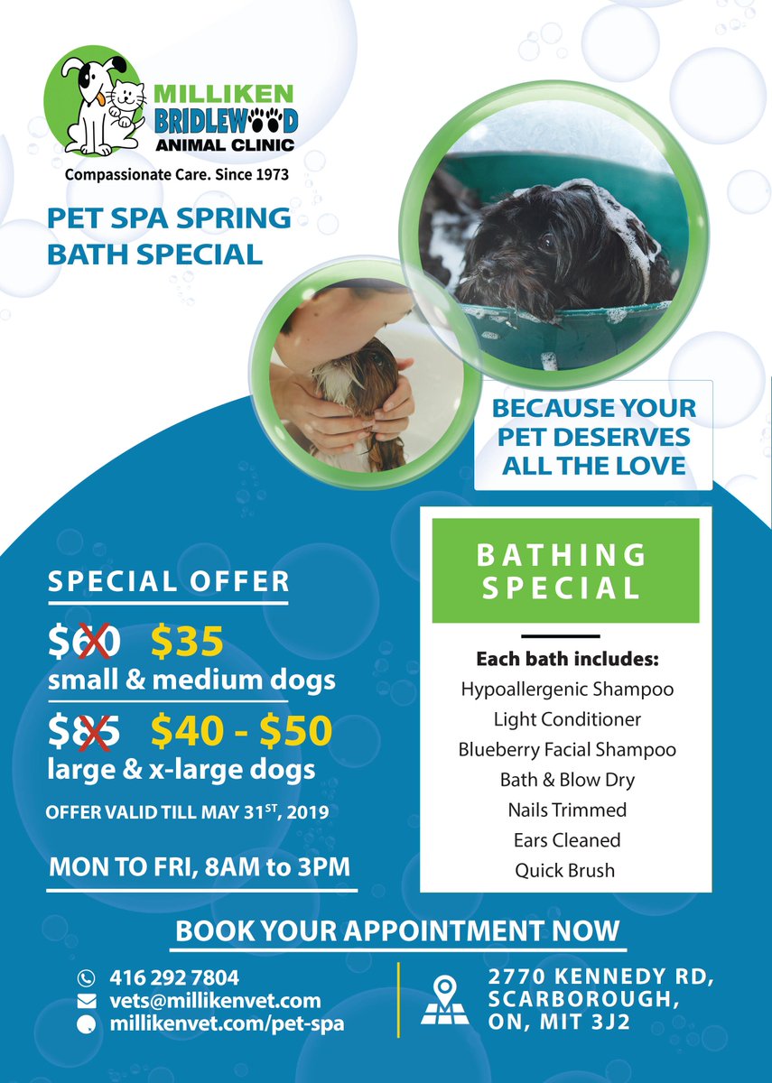 dog grooming special offers