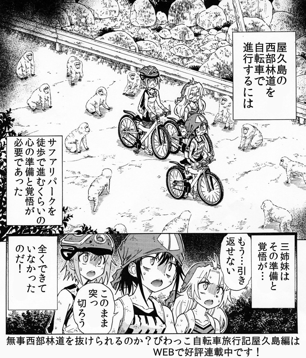 実話です　屋久島一周中にサルに襲われた話です　自転車のる人で田舎道を進行する人は野生生物にはご注意ください 