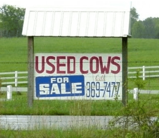 LouiseLemonTart's tweet photo. How were the cows used?  #DumbUnsolvedMysteries https://t.co/moAOxqFzzN