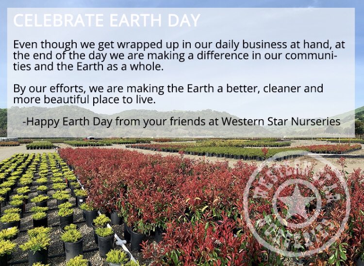 Western Star Nursery Wstarnursery Twitter Western Star Nursery Wstarnursery Twitter