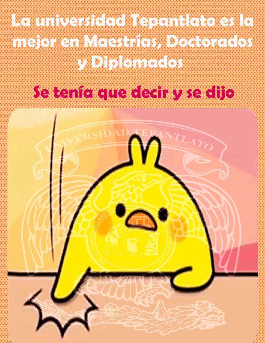 Universidad Tepantlato (@utep_oficial) on Twitter photo 