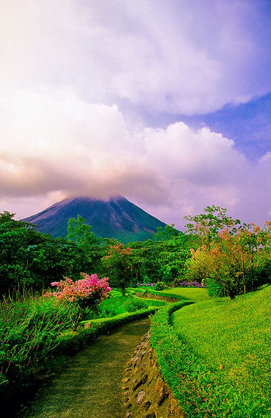 officialmegbzk's tweet photo. Did you know, 7% of the world's biodiversity is hosted by Central America, which is part of a larger Mesoamerican biodiversity hot spot 🦋🌴🇭🇳🇬🇹🇨🇷🇧🇿🇳🇮🇵🇦🇸🇻
 #EarthDay #CentralAmericanTwitter https://t.co/nxlZqqtW8P