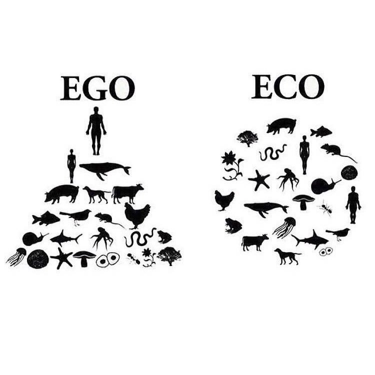 bhs_leapa's tweet photo. and remember.. #earthdayeveryday https://t.co/I9tvpSyidF