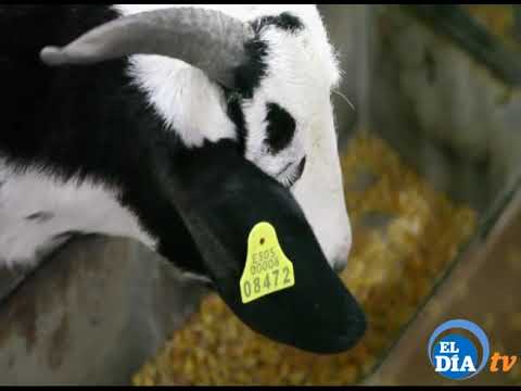 MAR Y TIERRA 200419 youtube.com/watch?v=Pcv4Mk…