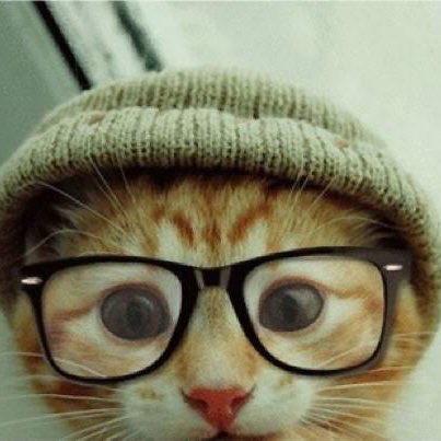 titaseld's tweet photo. #ZildAt22
#ZildMeowsAt22 https://t.co/cnITbHKExB