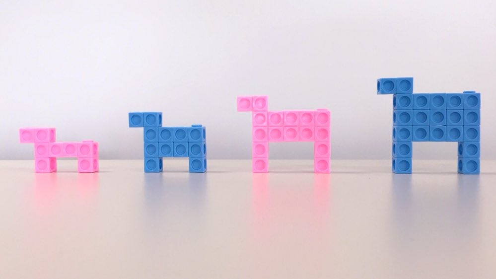 MrJohnRowe's tweet photo. How big is 5th, 6th, and 56th dog? 🐶 #patternchat #MTBoS #iTeachMath https://t.co/6xnQYRgbSL