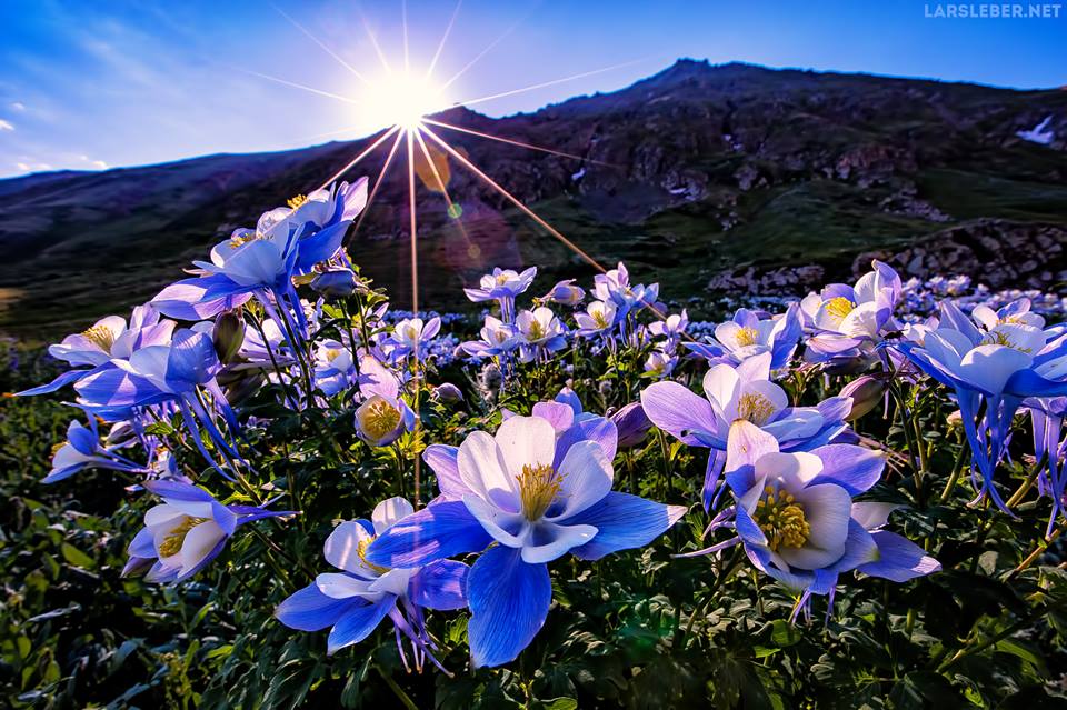 Good morning tweet world 🌏🌐🌄🌼🍃