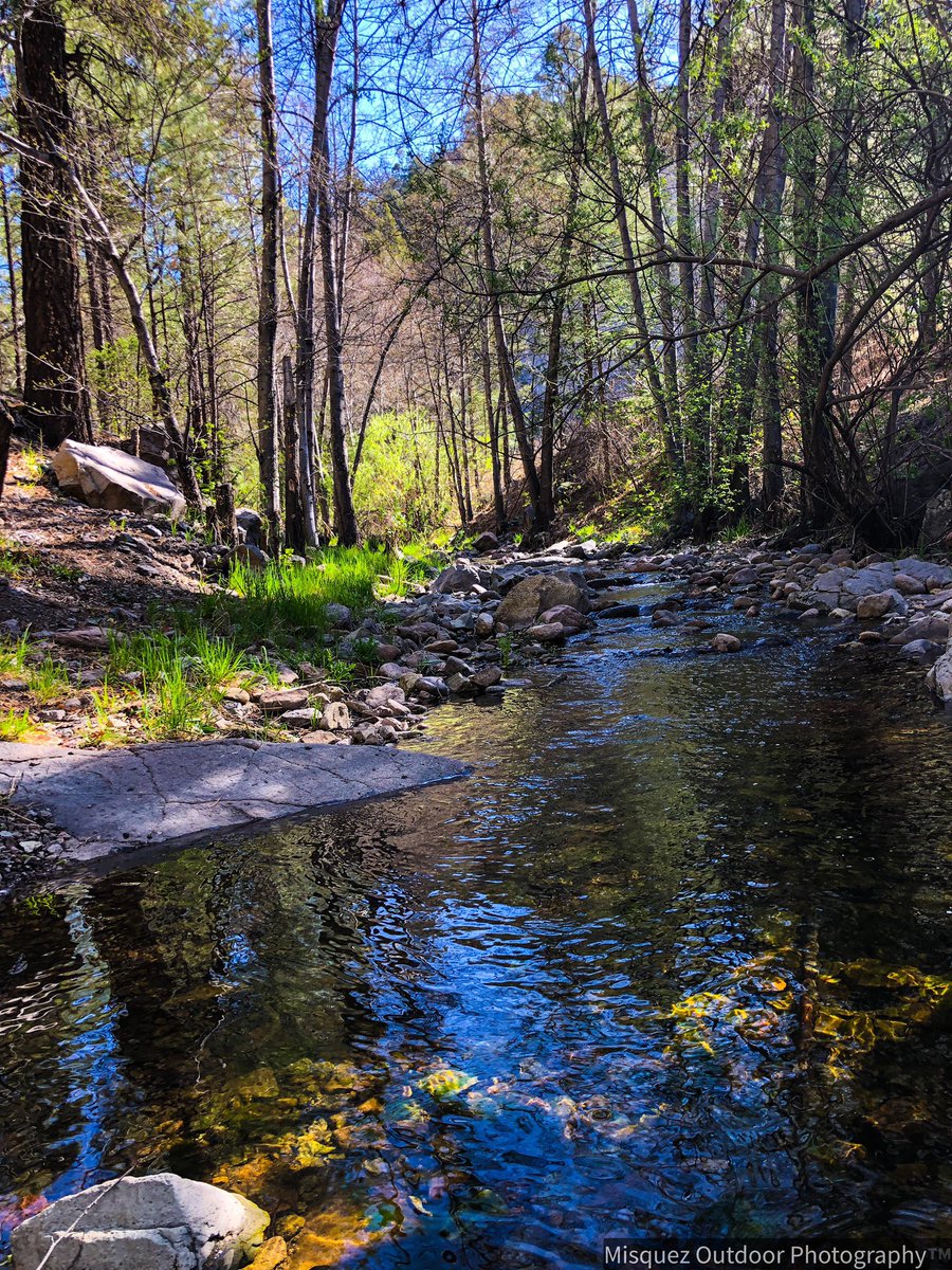 Stream Dreamin’. Railroad Canyon, New Mexico.

Happy Earth Day! Remember to keep our wild places wild and clean for our generations and generations to come! #LIVEWILD #gilanationalforest @GilaNForest @nmwild @Wilderness @NuestraTierraNM