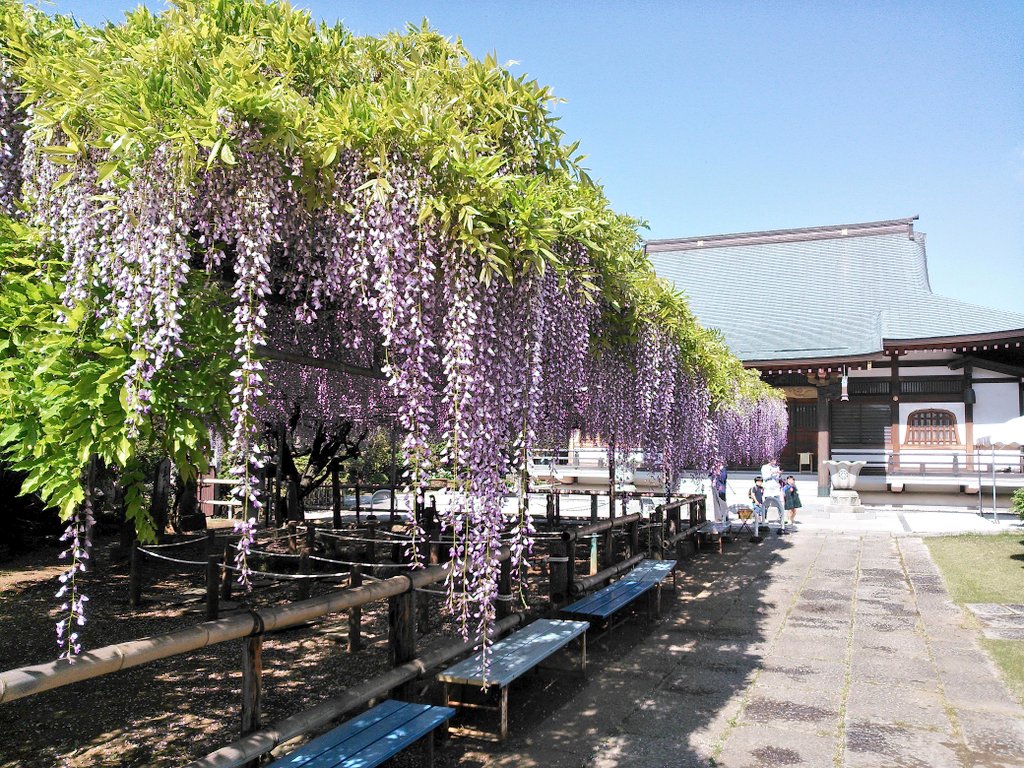 برچسب 高圓寺 در توییتر برچسب 高圓寺 در توییتر