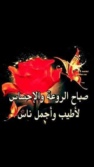 <a href="/AisyahHasan9/">AISYAH HB KN🇵🇰🇮🇩. (Economic law Expert)</a> يسعد صباحك يا ورد