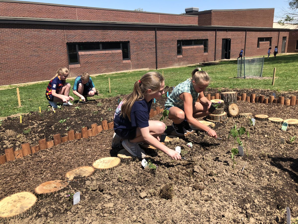 5th graders planting flowers in our new pollinator garden! 🌸 🌺