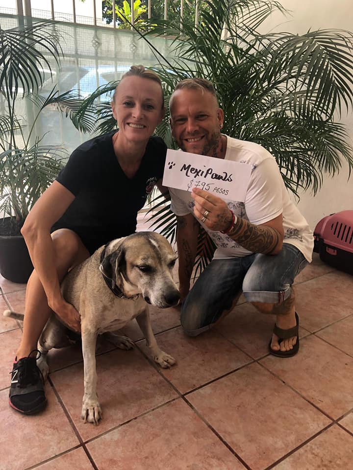 JC_Fundraising's tweet photo. #JCF #Playadelcarmen #TeamTulsen $795mex was raised at the 1st JCF PDC event at La Vagadunda for the Off Key Choir Rafflethis money is donated to help the amazing work achieved by MexiPaws . Please check out their website !!! https://t.co/ZFwI1gvYZP  @JadenCornelious @YnezTulsen https://t.co/8vGsLkhcYI