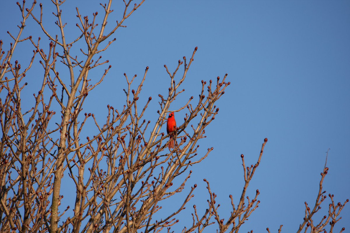 Mike 🥃 tweet media