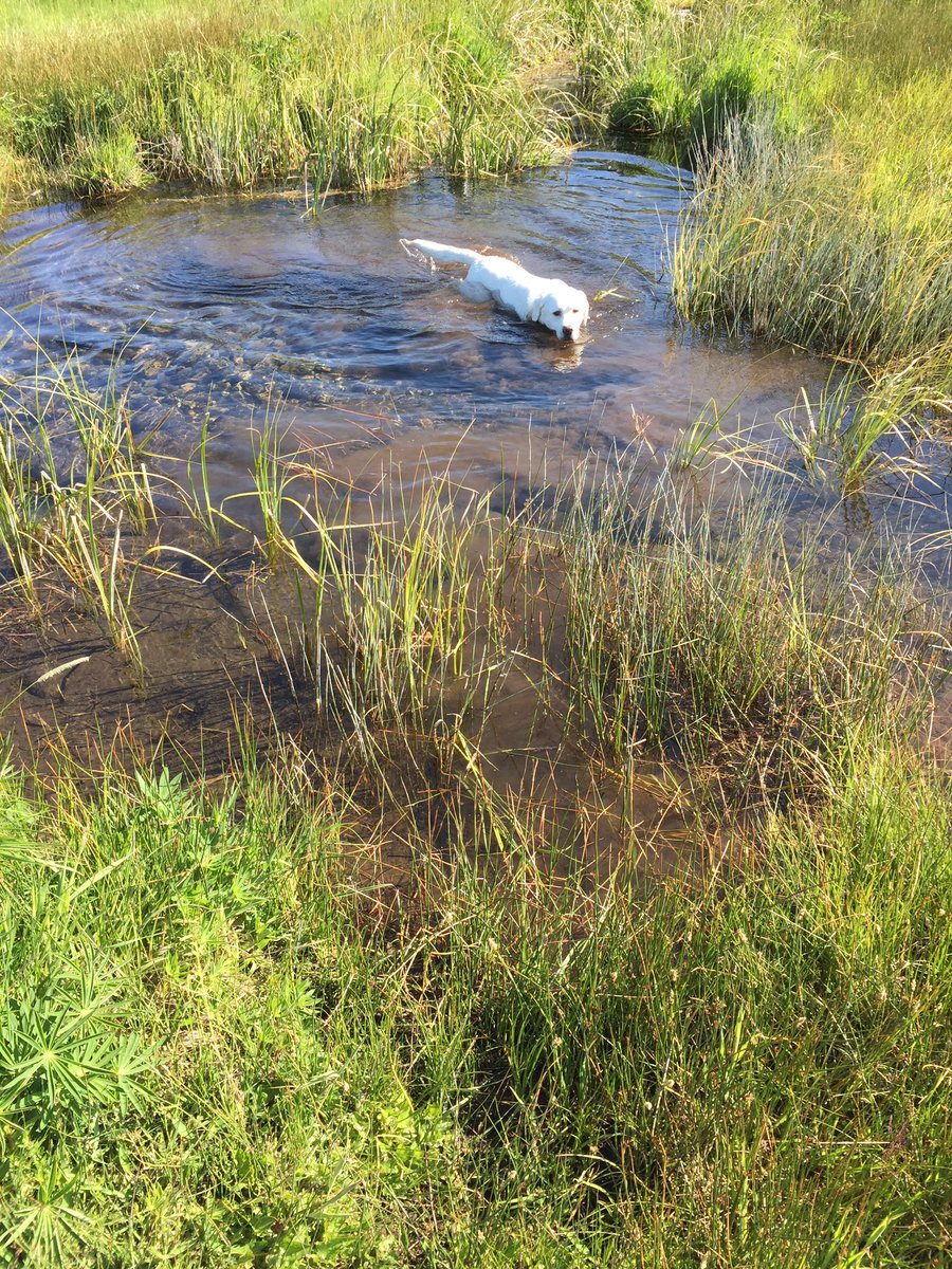 💫....our souls need places where nature has not been rearranged by the hand of man....🌏 let’s all take special care of the precious gift we live on 🌏❤️🐾#EarthDay #Nature #BeautifulEarth