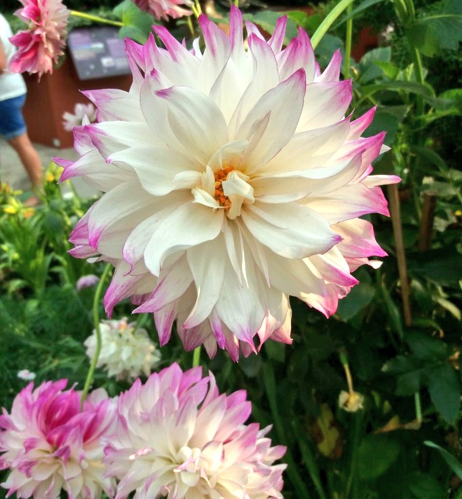 itsme_nalini's tweet image. Nam ennangalai shaktiyaga matanum.Nalla ennangalo ketta ennangalo,etharku athigam unarvu iruko athu saatiyamagiratu!So nalla ennangalodu unggal unarvugalaiyum sethu unarchi purvama ennungal,seyalpadunga nicayam saatiyamagum❤️ #TuesdayThoughts
#nalinisKaruttu
#emotinalintelligence