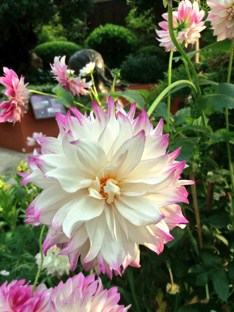 itsme_nalini's tweet image. Nam ennangalai shaktiyaga matanum.Nalla ennangalo ketta ennangalo,etharku athigam unarvu iruko athu saatiyamagiratu!So nalla ennangalodu unggal unarvugalaiyum sethu unarchi purvama ennungal,seyalpadunga nicayam saatiyamagum❤️ #TuesdayThoughts
#nalinisKaruttu
#emotinalintelligence