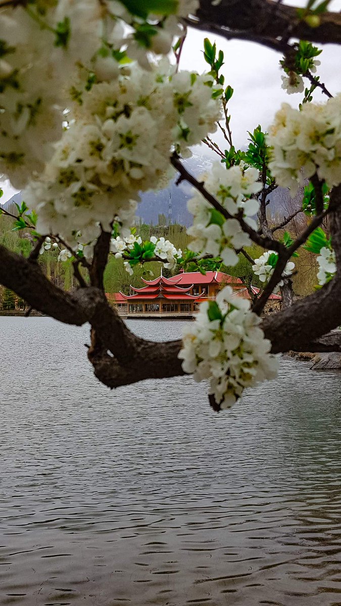 Lovely pic of Shangri-la by fida naseeb https://t.co/USohscbNGh