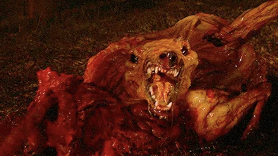 AestheticHorror's tweet photo. The Thing (1982) https://t.co/oVWTCrB7sr