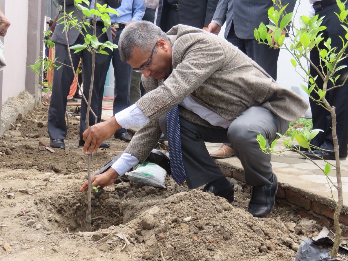 Raniban's tweet photo. Happy Earth Day. Tree plantation at ICAN ! https://t.co/5NMreZ4rRQ