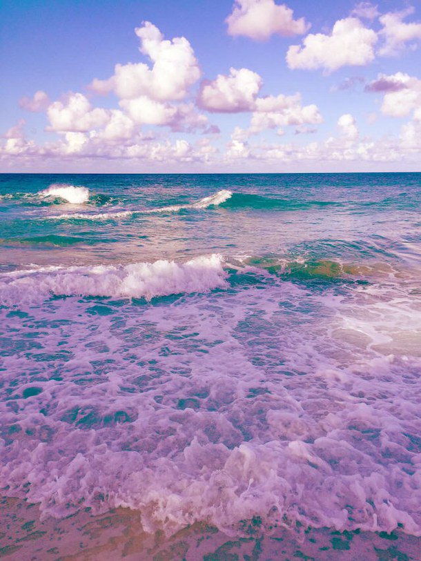 — ★                                                                               •Tʜᴇ ᴏᴄᴇᴀɴ ɪs                                       ʙᴇᴀᴜᴛɪғᴜʟ, ʀɪɢʜᴛ?
— ★
ジョジョ!