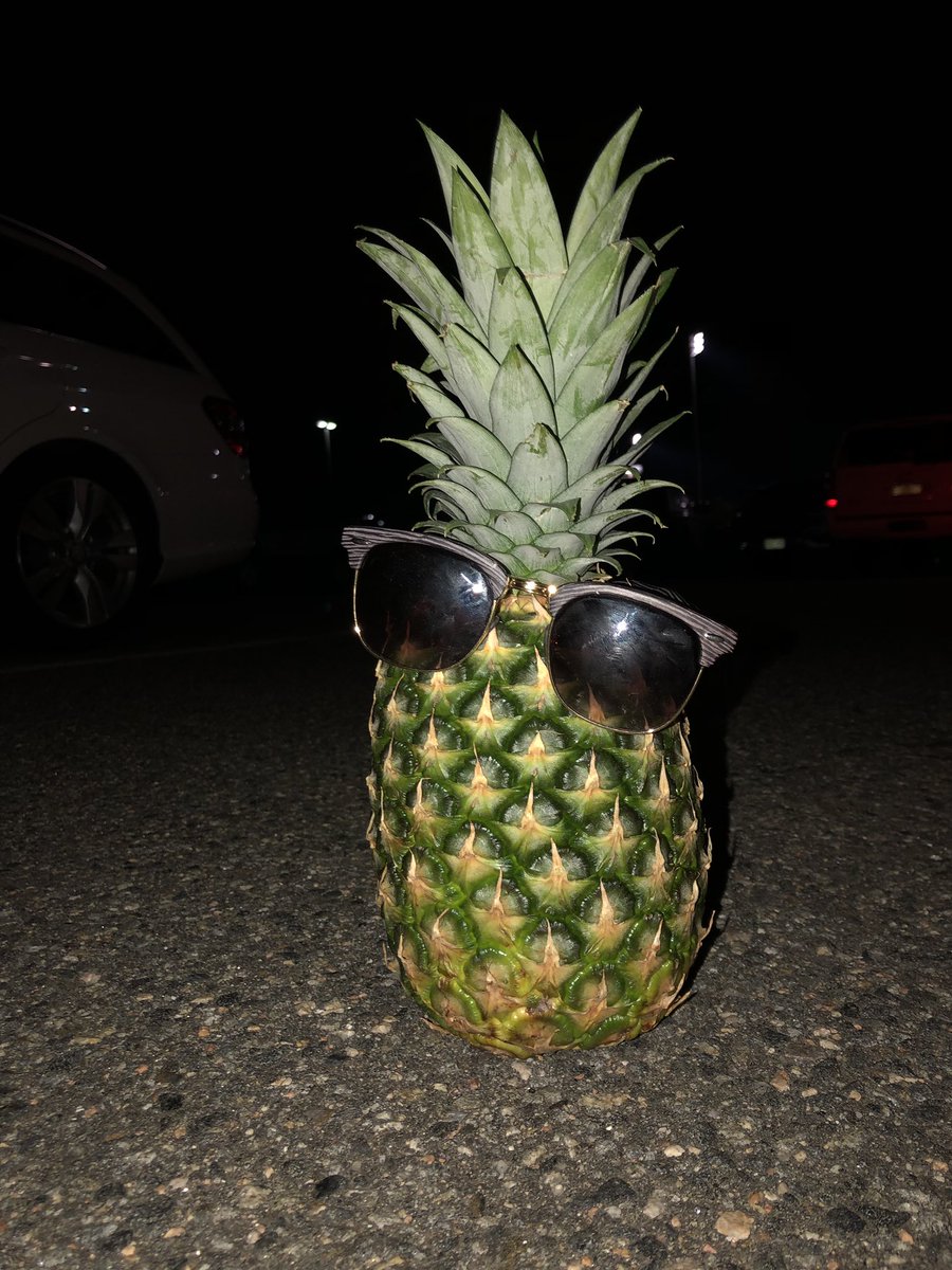 found something.... whatcha gonna give us for it?? #oneplant >>