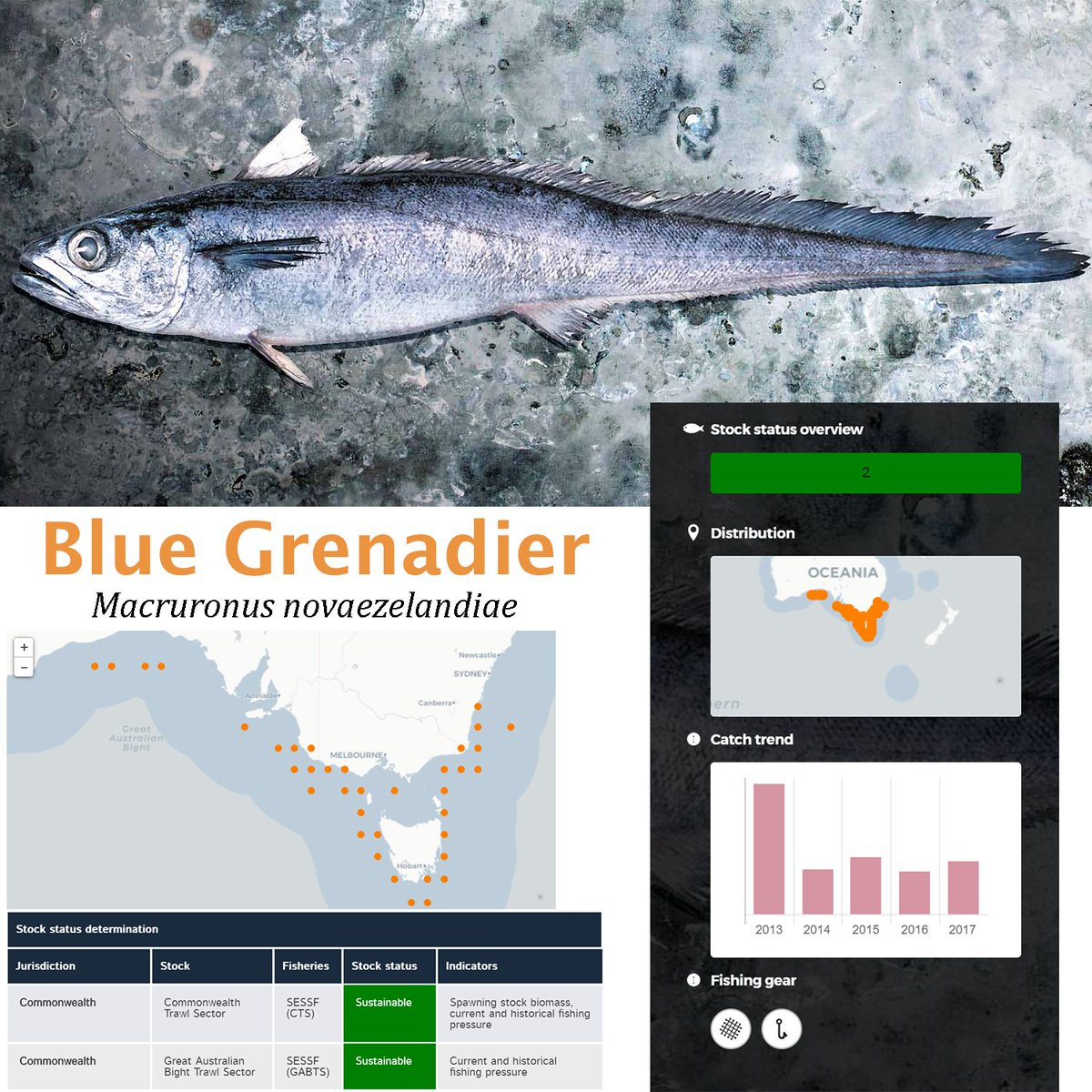 The Blue Grenadier made it into Australia Post's sustainable fish stamp issue! Check out why the Blue Grenadier was selected: australiapostcollectables.com.au/articles/three…