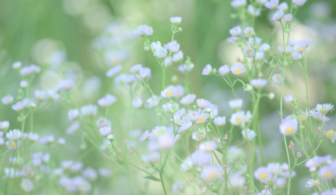 悲しみは半分に
喜びは倍になる
そんな誰かがいるとしたら
それは、何よりも幸せなことだ💕

もし、今まだ
そんな誰かが側にいないとしても…
必ず出会えるように準備されているよ✨