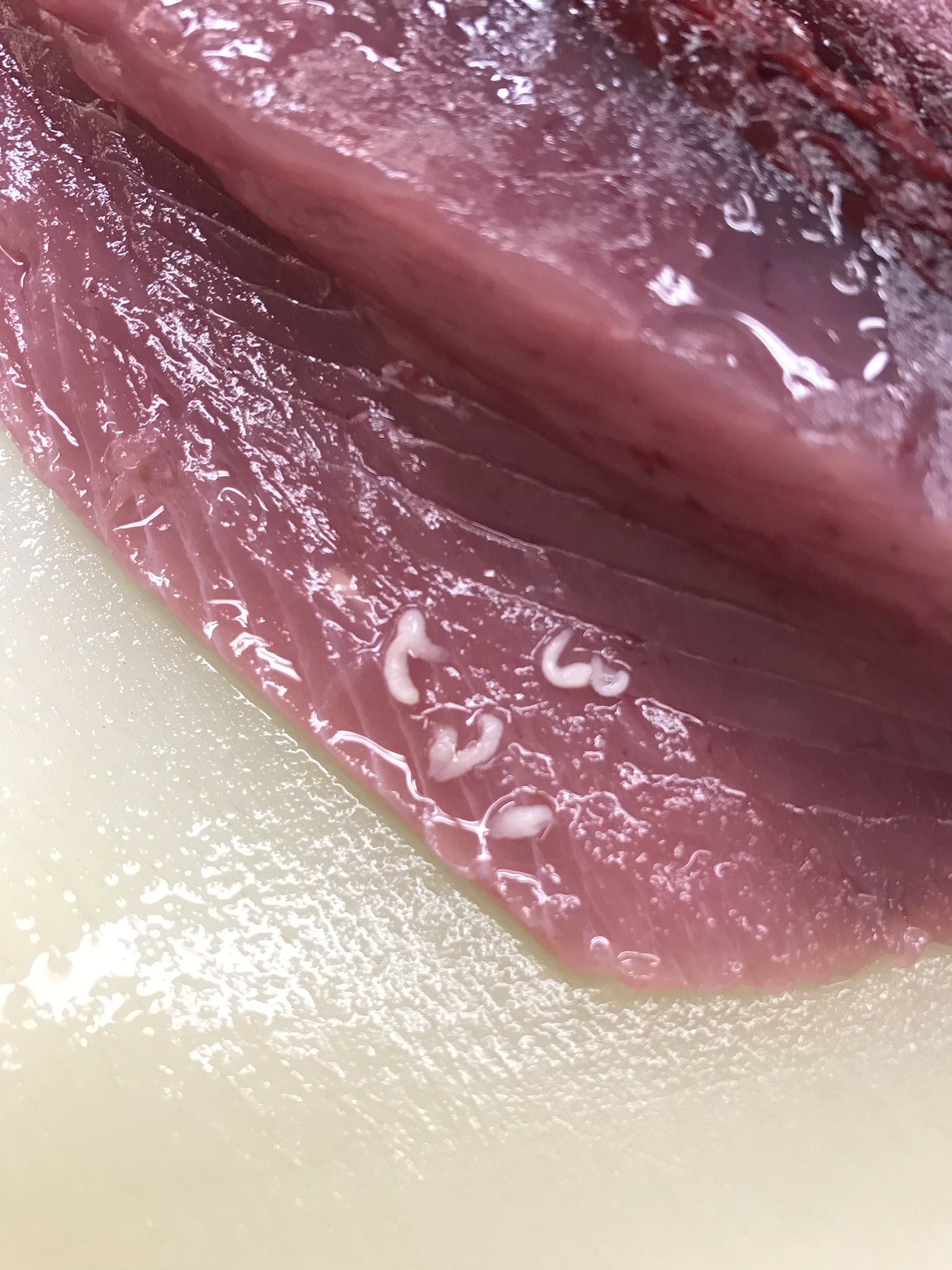 多田水産 やあ 僕の名前はテンタクラリア アニサキス兄さんと混同されがちだけど 僕は悪いスライムじゃないよ お年寄りの中には 虫が多い 餌を多く食べてるって事で 虫が多いのは美味しい鰹 って言う人もおります T Co Z1kta8lna4