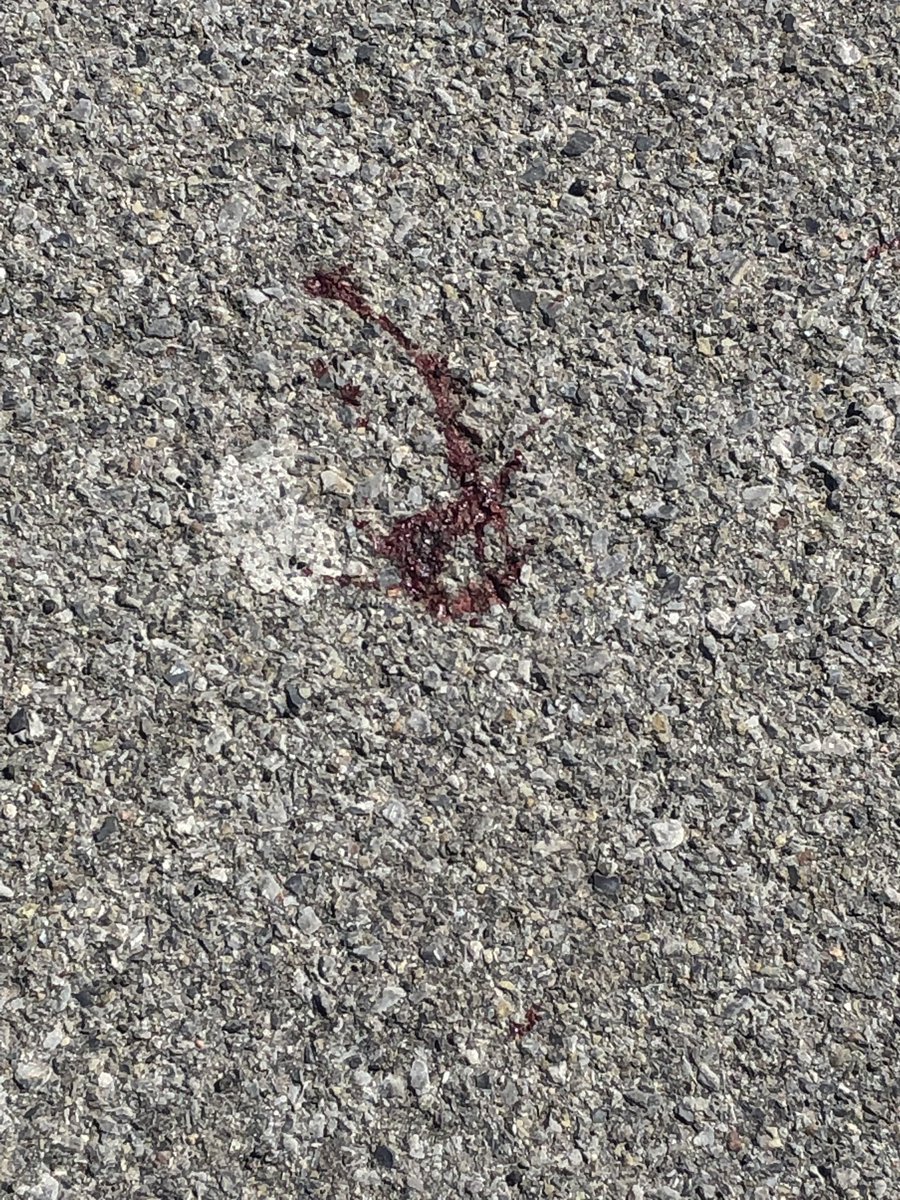 NfAngels's tweet photo. Police where called to 925 Pine Ave for a armed robbery. Suspect is described as a black male wearing a white shirt and a silk navy blue Hollister jacket. One of the employees was injured during a scuffle with the suspect and the suspect was injured to during the scuffle too. https://t.co/OYeVeNdOEA