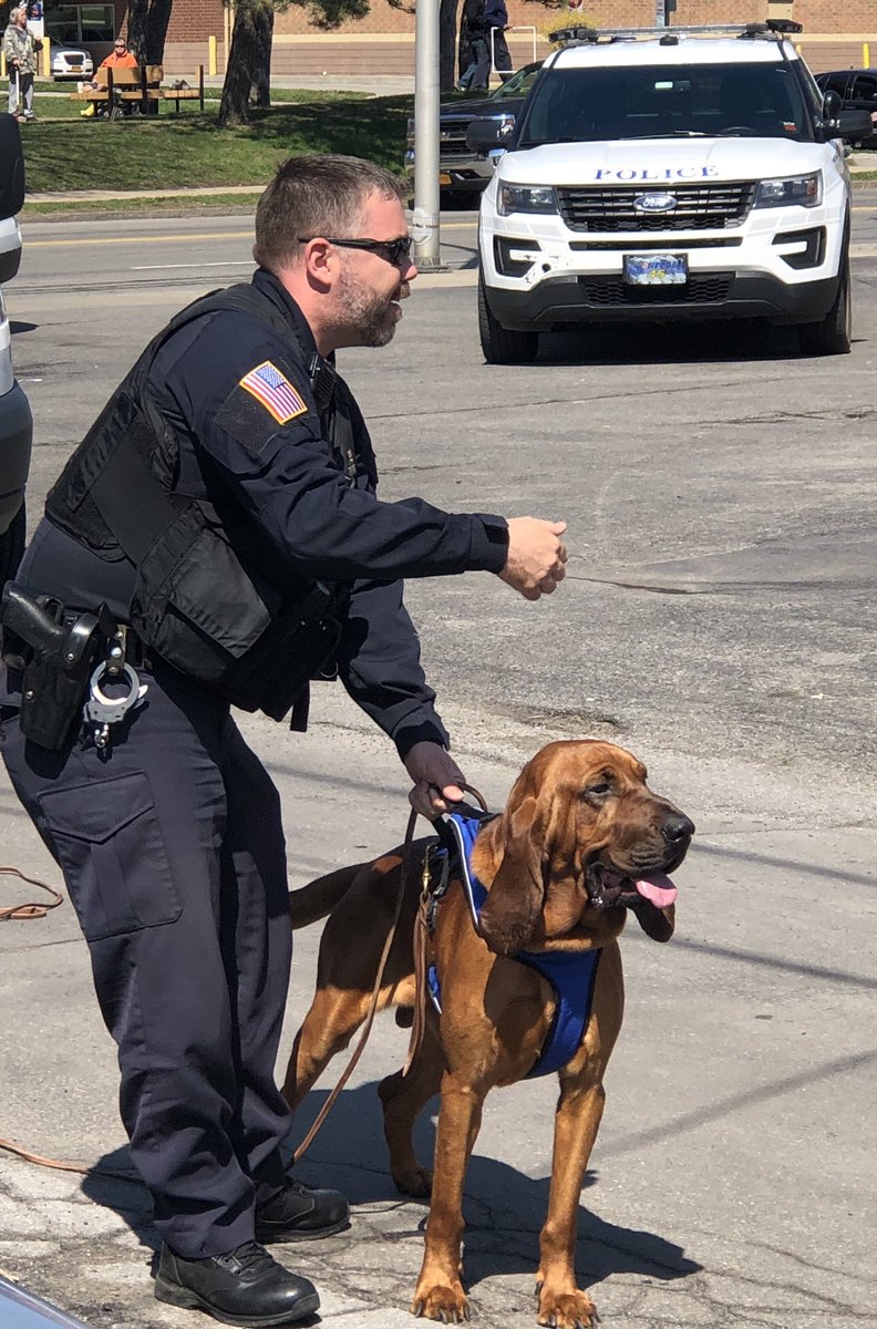 NfAngels's tweet photo. I would like to give a shout out to Officer Booth and his K-9 partner Flash. They help out today with looking for the suspect at the arm robbery on 10th and Pine ave. https://t.co/EKTk6TpaGL