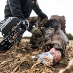 Photo by Mathews Archery (@Mathews_Archery)