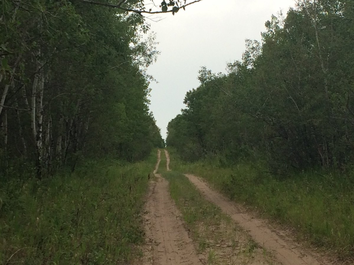 Susan Heather tweet media