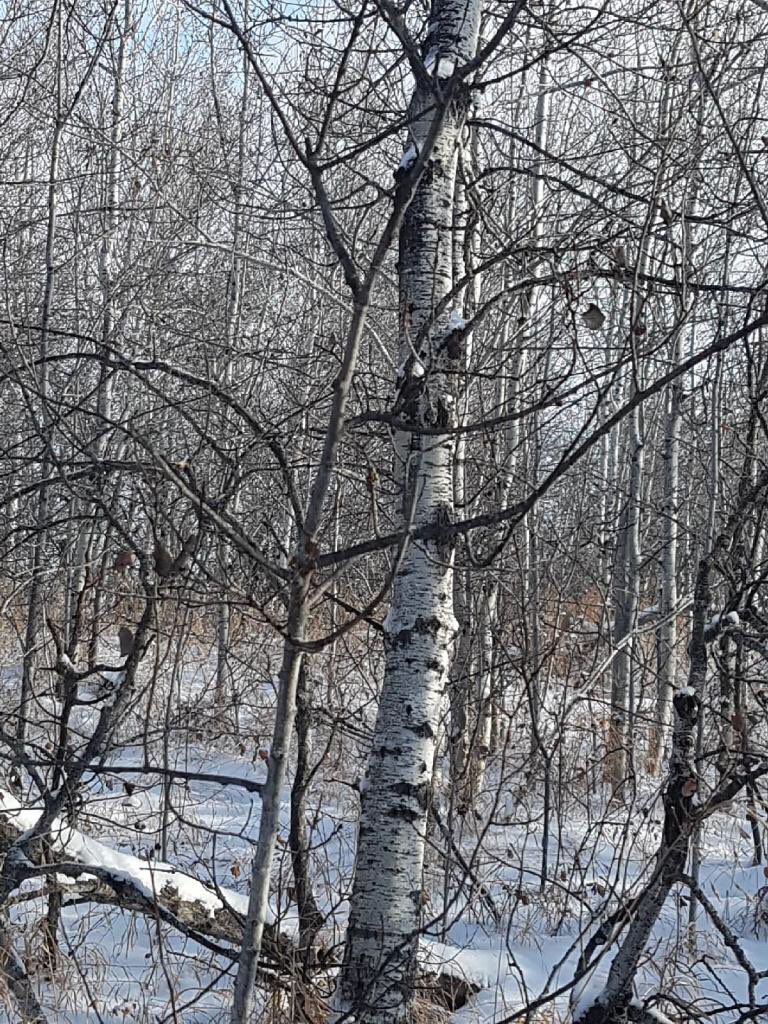 Susan Heather tweet media