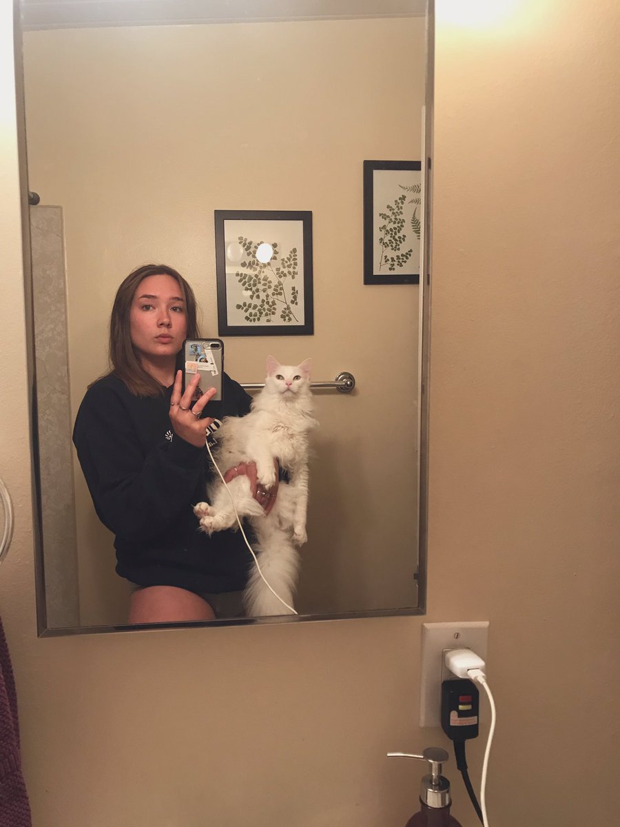 crazycocopuf's tweet photo. Who says cats aren’t (wo)mans best friend? https://t.co/HayqoPToBW