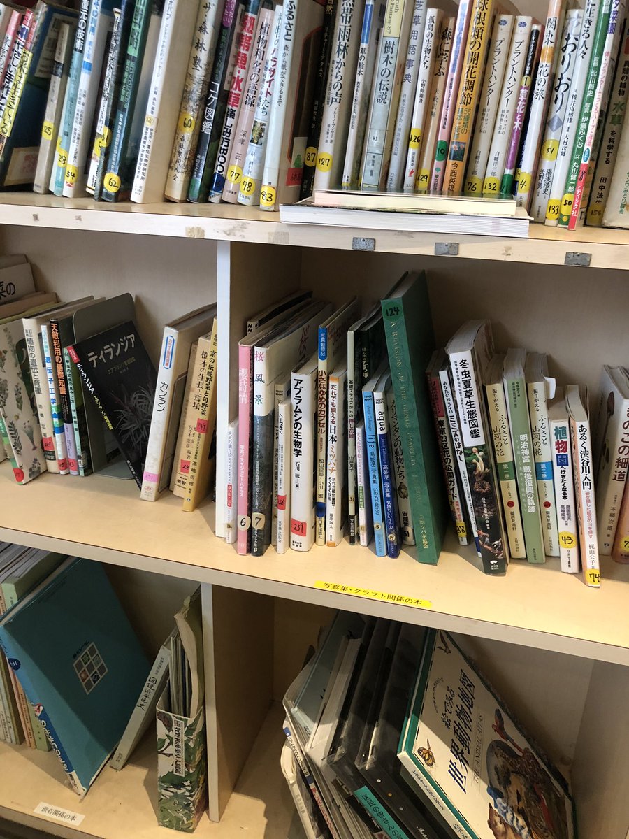 図鑑や絵本 植物学から各種園芸 学会誌 メンデルからエッセイまで 読み放題 素敵だね わたしの信じるところの植物園はこういうとこにあったのね 