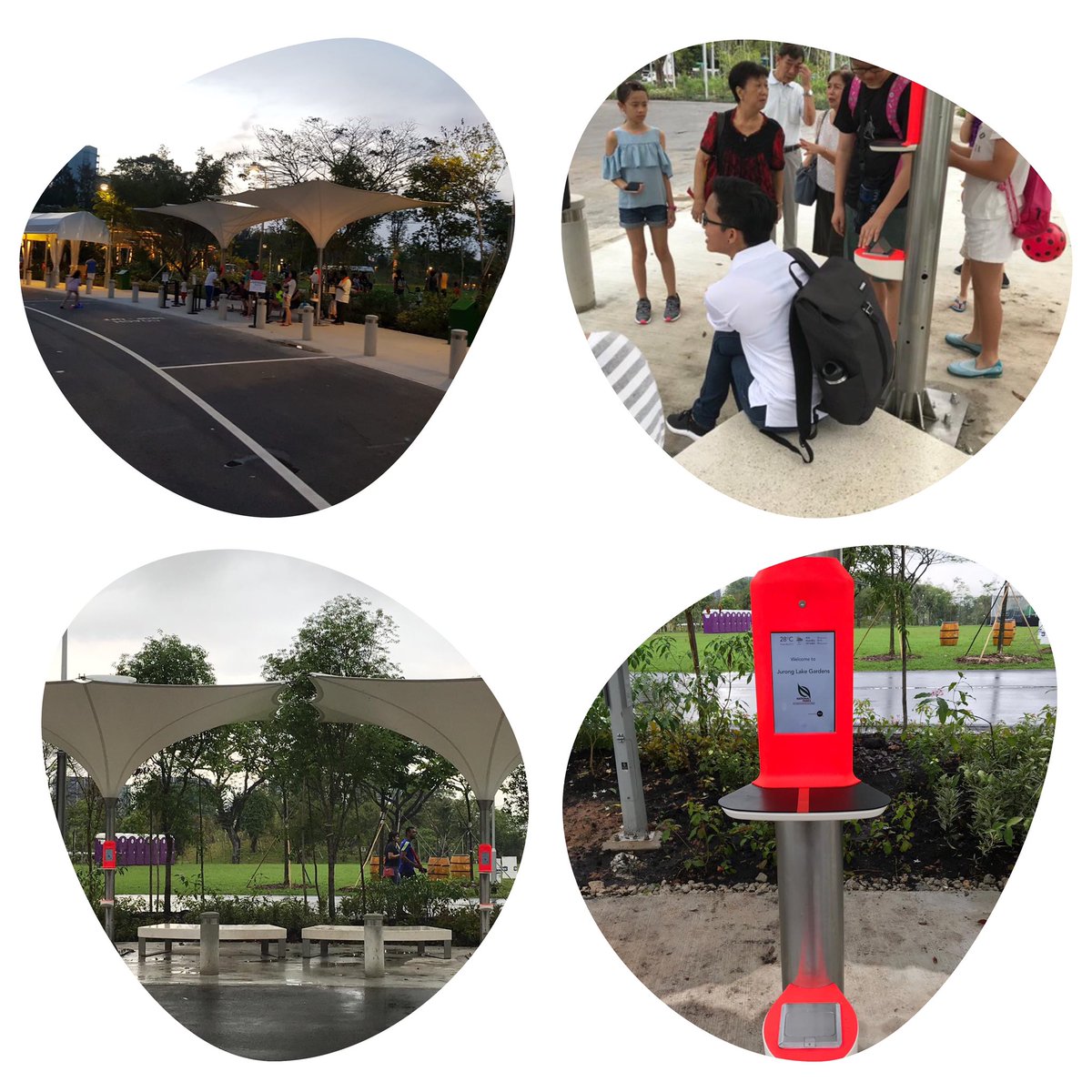 HALO Connect at Jurong lake gardens, Singapore to create smart bus stops <a href="/nparksbuzz/">National Parks Board</a> <a href="/LTAsg/">LTA</a> charge phones, laptops, cloud connected screens - solar power and water harvesting all under one roof.