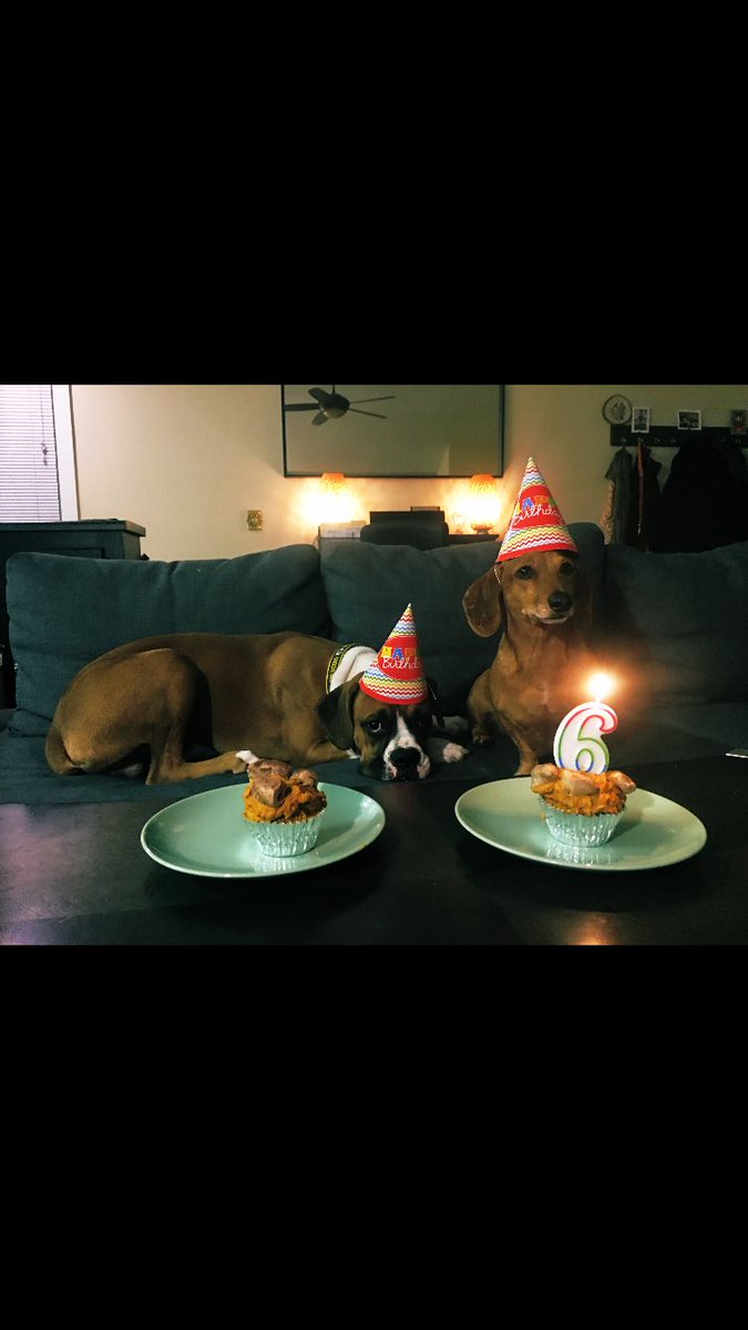 JakeSchilling27's tweet image. Where are y’all @HaillyMiller