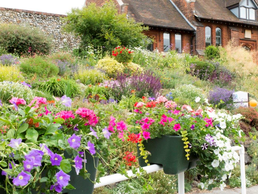 FavershamSoc's tweet photo. Here is a very small selection of the wide range of stunning gardens on display at this year's Faversham Society Open Gardens event which will be taking place on 30th June! Hope to see you there! #Faversham #gardens https://t.co/ll0FJhGIZf
