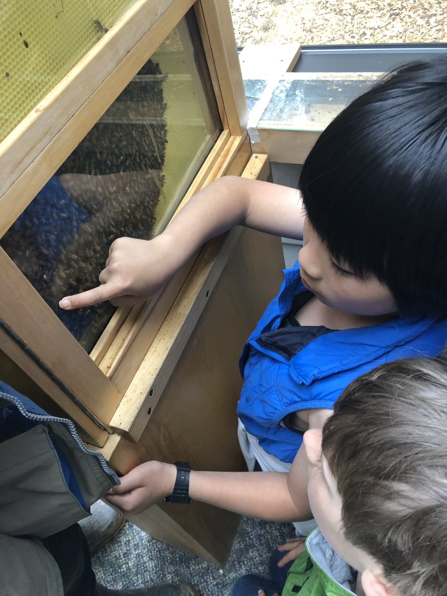 HuntleySTEAM's tweet photo. We found the queen bee! @A2STEAM https://t.co/HwTWgVHx0P