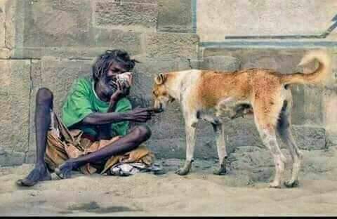 دیکھ کر حیران تھا ۔۔۔۔۔۔۔۔۔صاحب
دل کی امیری تھی یا انسانیت کی حد؟