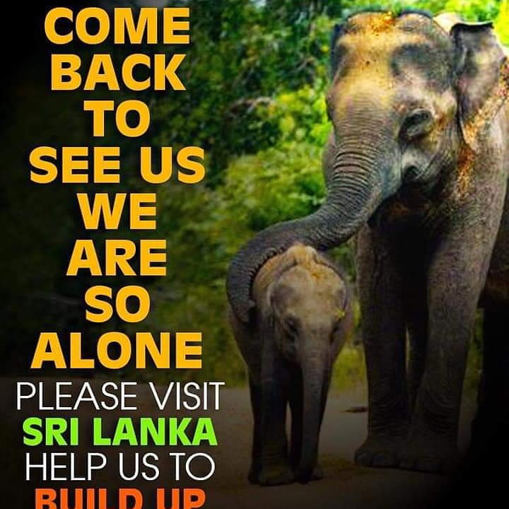 Srilanka