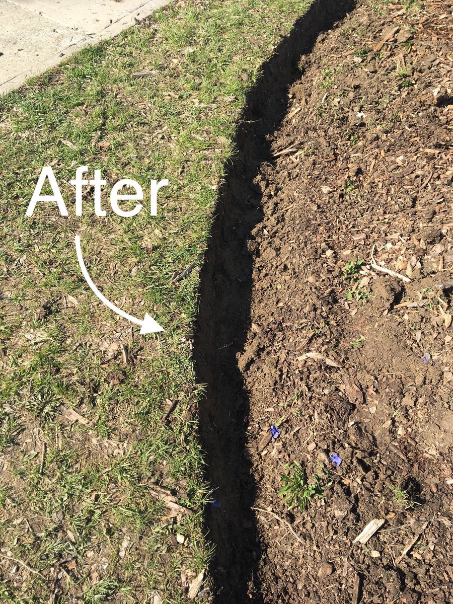 DanielleStull7's tweet photo. We learned that traditionally a 90° angle on a edge is preferred in gardens, but for a space like ours that gets walked across consistently a beveled angle will support the edge much better and will prevent it from caving in on itself. https://t.co/P89cbfPb5R