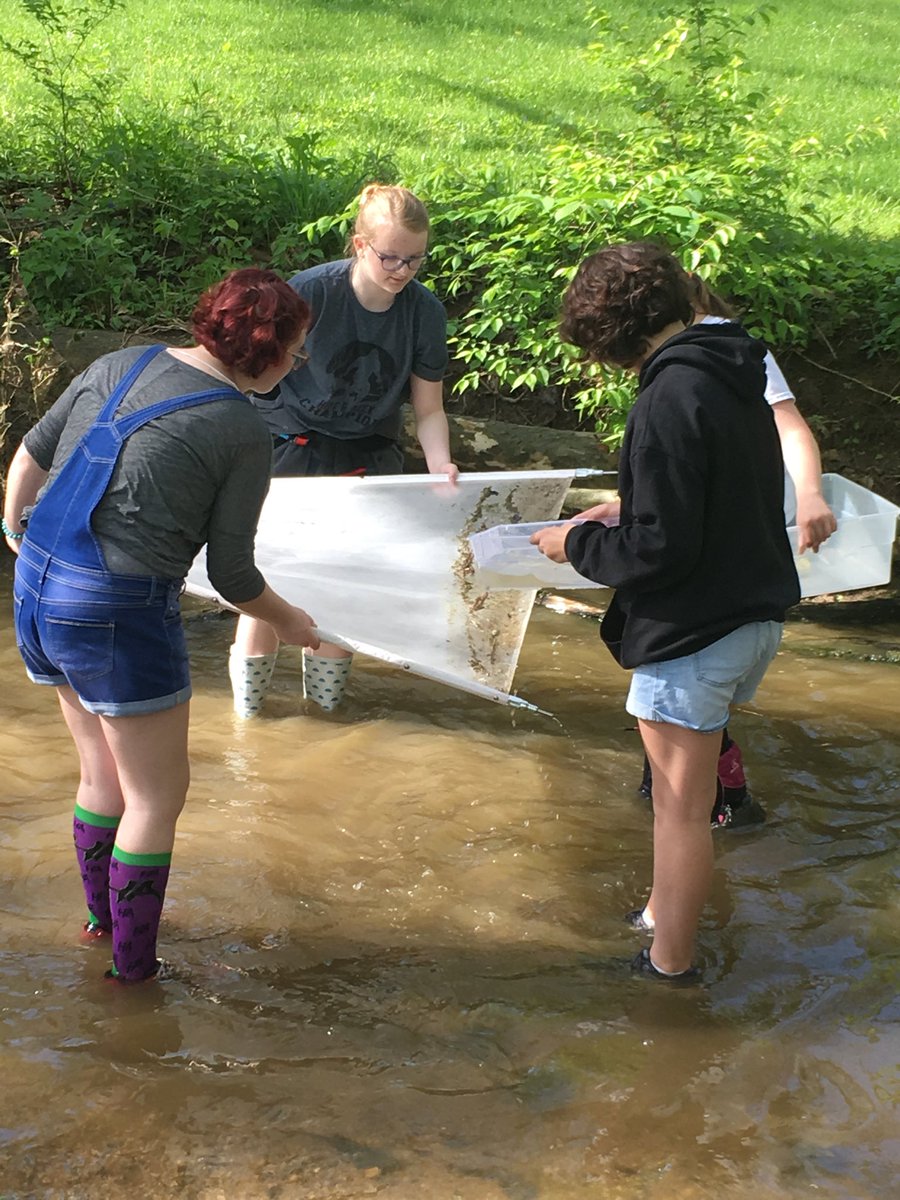 kuglerGISA's tweet photo. 7th grade GISA learning to kick seine ⁦@GIMiddleSchool⁩ ⁦@kuglerGISA⁩ https://t.co/12L9LKWtJW