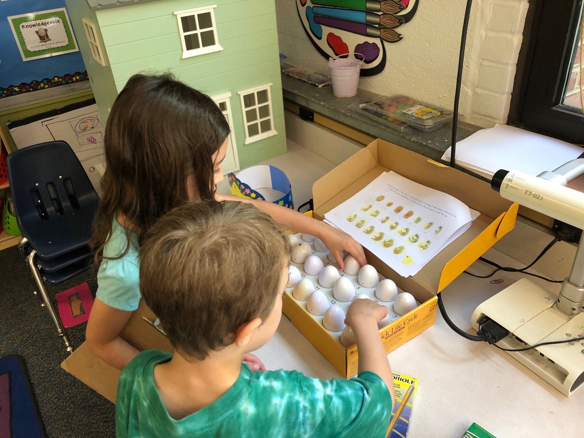 Rachel Hamberger tweet media