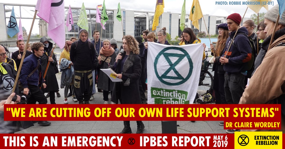 The IPBES report on #biodiversity and #ecosystems came out Monday, and shows 1 million species are at risk of extinction. For humans, this means "we are cutting off our own life support systems" as Dr @clairefrwordley put it at our die-in yesterday. #RebelForLife #IPBES #IPBES7