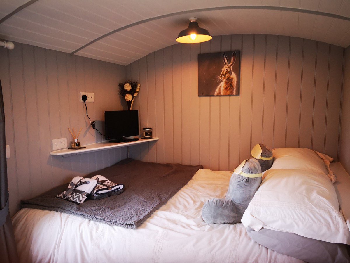 Glampsites's tweet photo. WOW what a view 😍 Pen-Rhos luxury glamping invites you to watch the perfect sunset from their modern and fully equipped cabin in Mid-Wales ☀️ BOOK NOW 👉 https://t.co/8HrzMnZy5z #glamping https://t.co/hFS0NLsugC